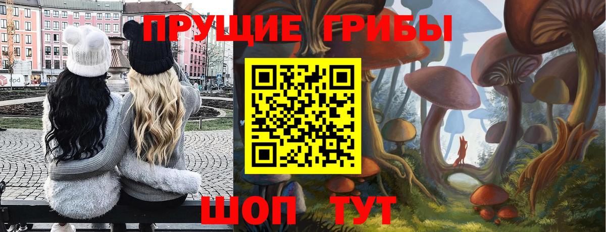наркота  Галлюциногенные грибы Psilocybine cubensis  Вход с VPN  Галлюциногенные грибы Psilocybe  Лосино-Петровский 