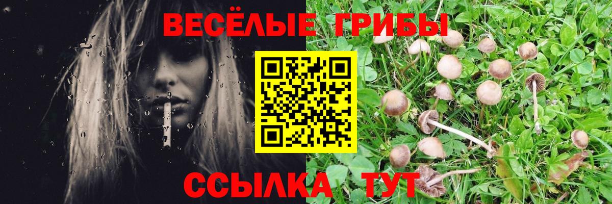 Галлюциногенные грибы мицелий Лосино-Петровский